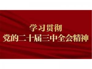 深學細照 見行見效 協會黨支部召開二十屆三中全會精神學習會